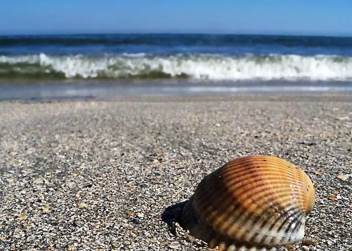 Summerland Relax Appartamento